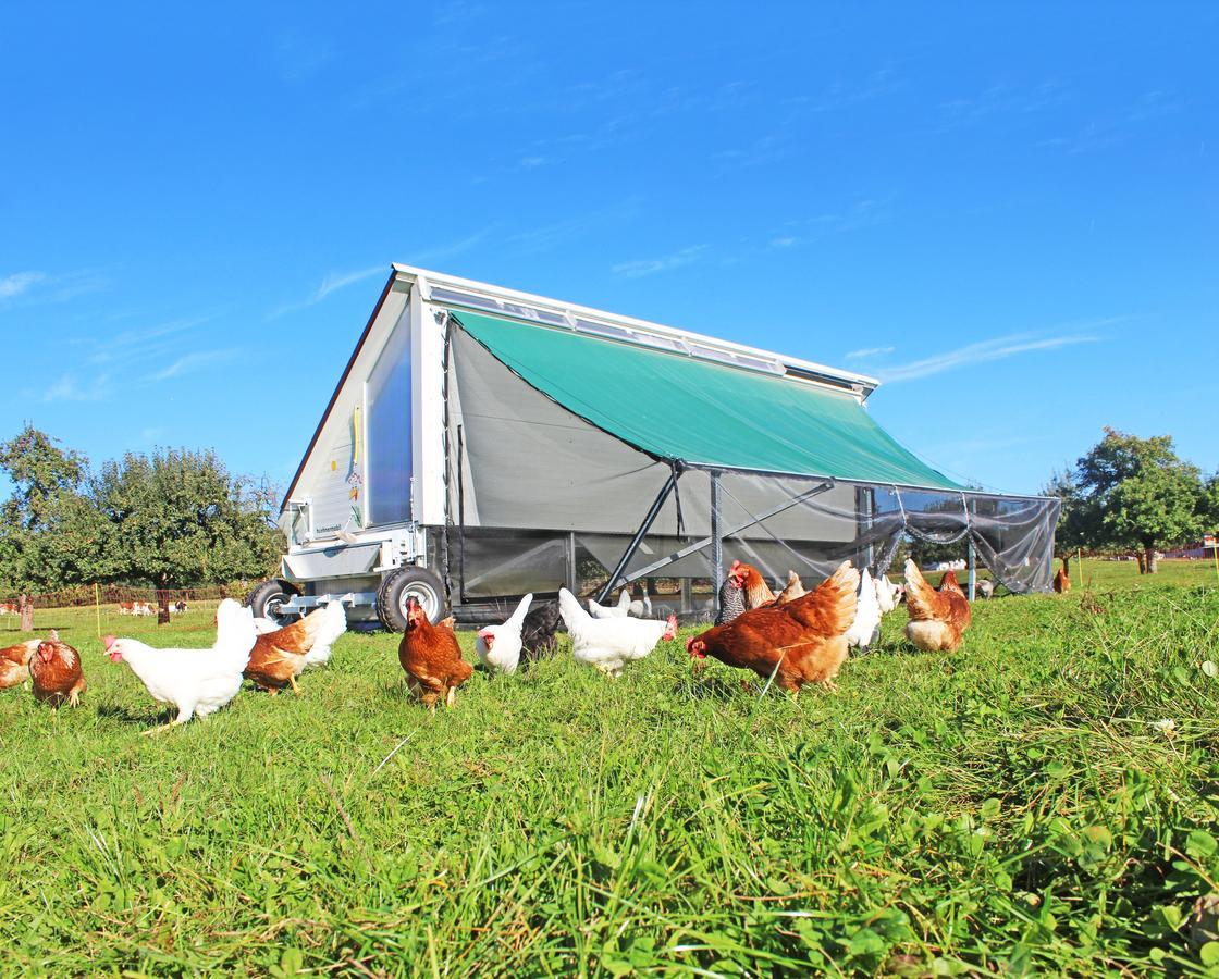 Gasthaus Zum Bauernhof Oberlunkhofen ภายนอก รูปภาพ